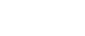 金壳维